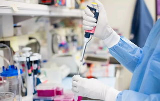 醫(yī)療器械大樓投資招商——邀八方企業(yè)攜手打造500億醫(yī)藥健康產業(yè)集群